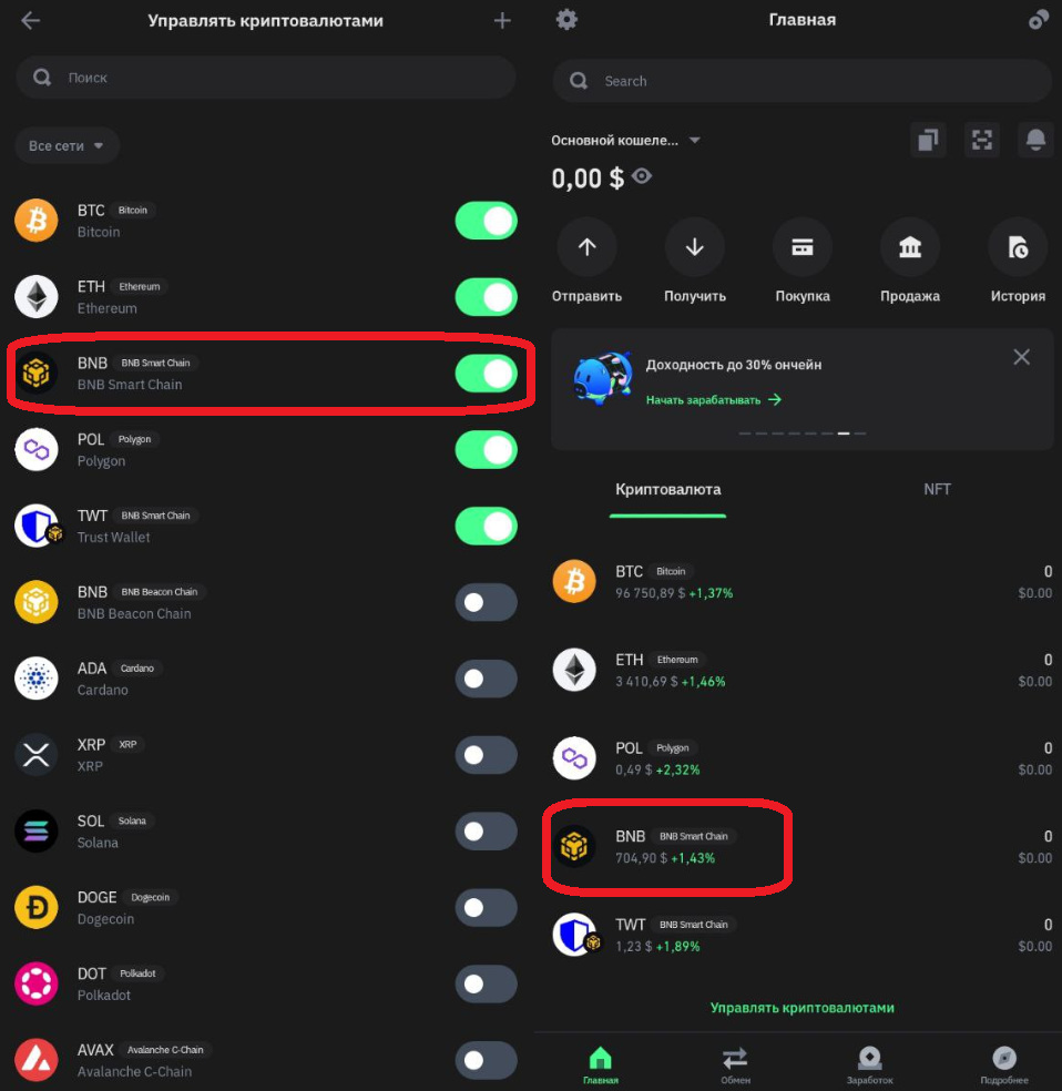 BNB в trust wallet